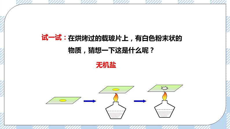 4.11.1人体产生的代谢废物 课件第6页