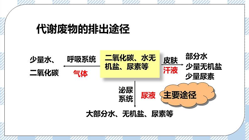 4.11.1人体产生的代谢废物 课件+同步练习+视频08