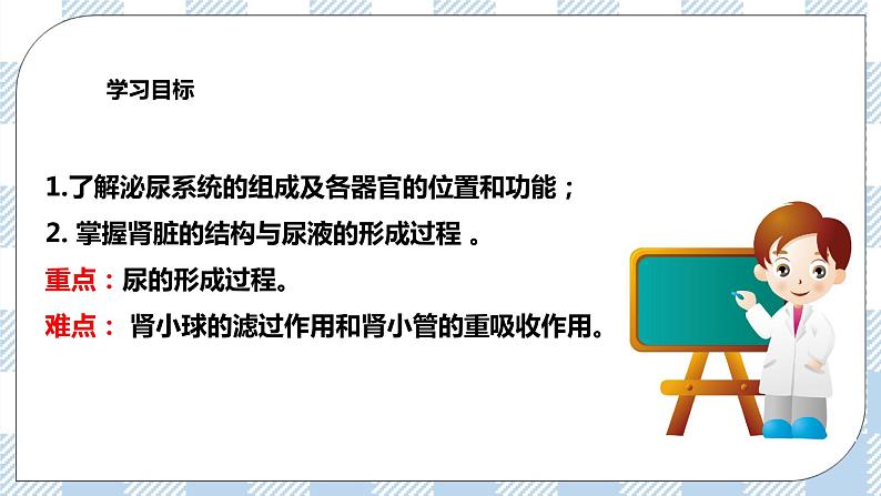 4.11.2尿的形成与排出 课件+同步练习+视频02