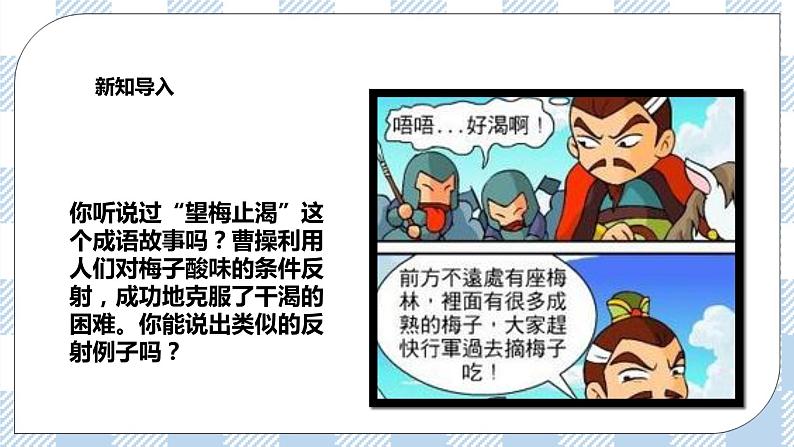 4.12.1神经系统与神经调节第2课时 课件+同步练习+视频03