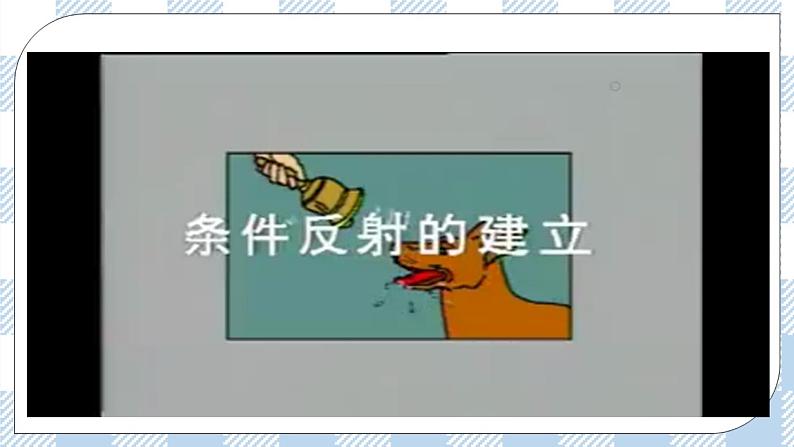 4.12.1神经系统与神经调节第2课时 课件+同步练习+视频06