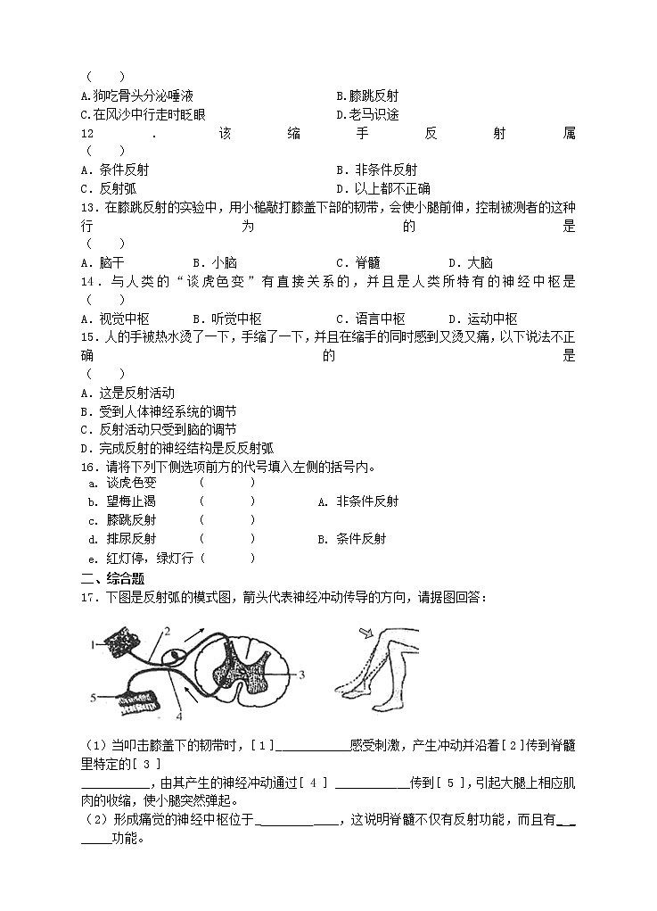 4.12.1神经系统与神经调节第2课时 课件+同步练习+视频02