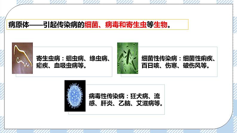 4.13.2预防传染病 课件+同步练习+视频06