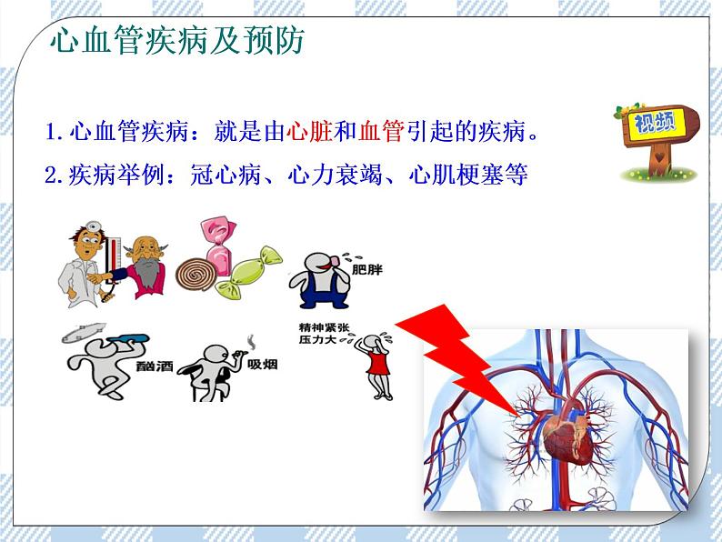 4.13.4当代主要疾病和预防 课件+同步练习+视频04