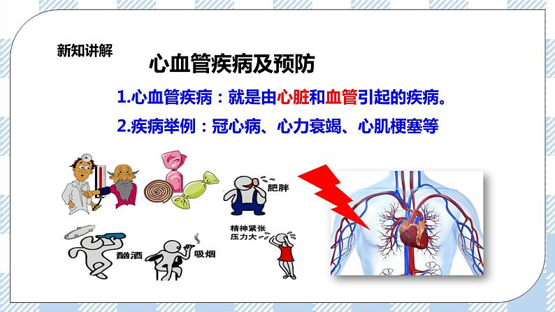 4.13.4当代主要疾病和预防 课件+同步练习+视频05