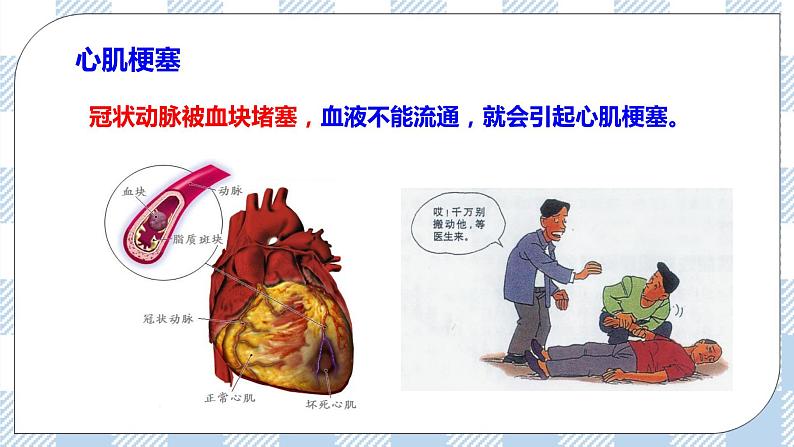 4.13.4当代主要疾病和预防 课件+同步练习+视频08