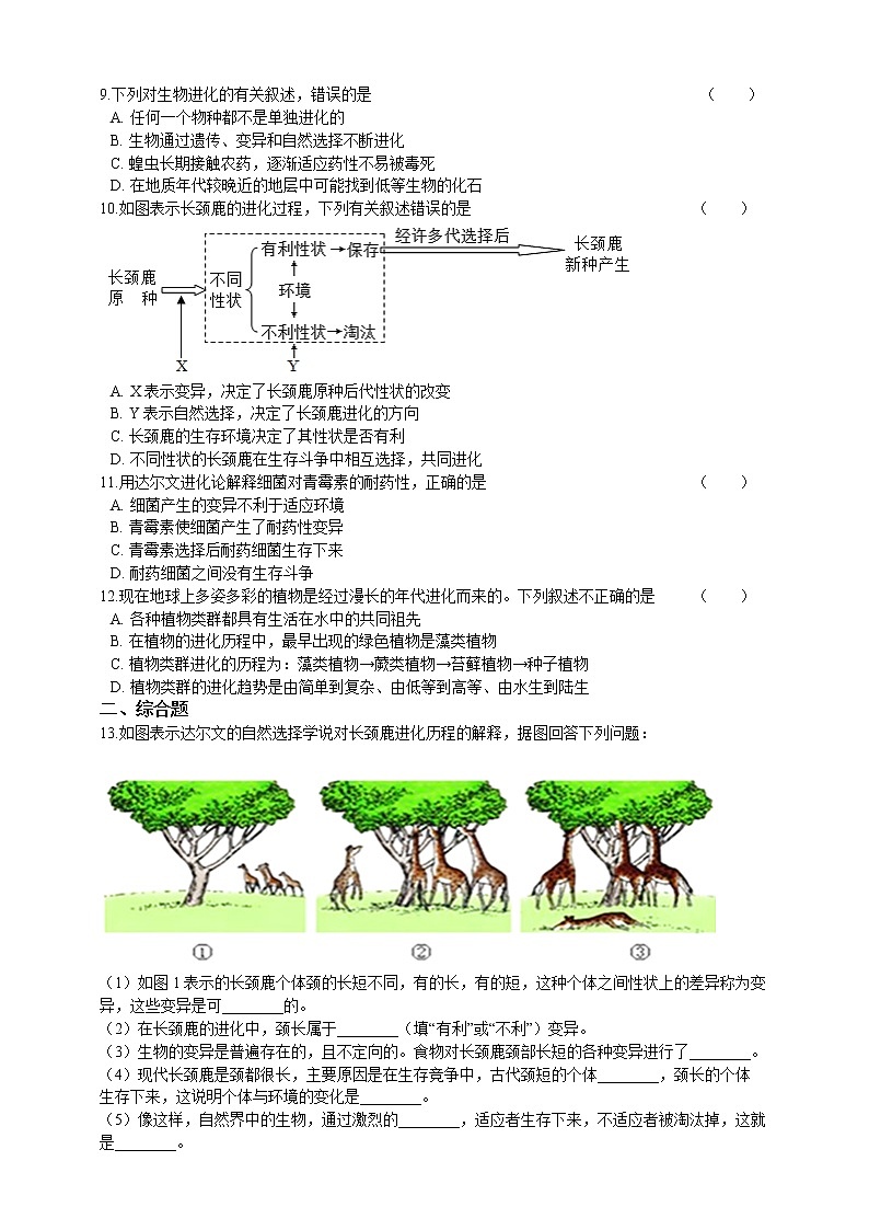 7.21.2生物的进化 第2课 精美课件+同步练习+视频素材02