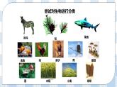 7.22.1生物的分类 精美课件+同步练习+视频素材