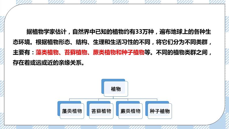 7.22.3植物的主要类群 精美课件+同步练习+视频素材04