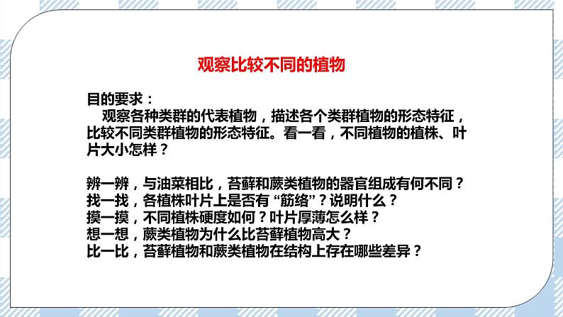 7.22.3植物的主要类群 精美课件+同步练习+视频素材05