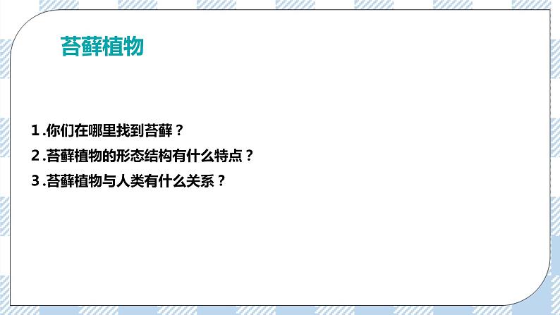 7.22.3植物的主要类群 精美课件+同步练习+视频素材07