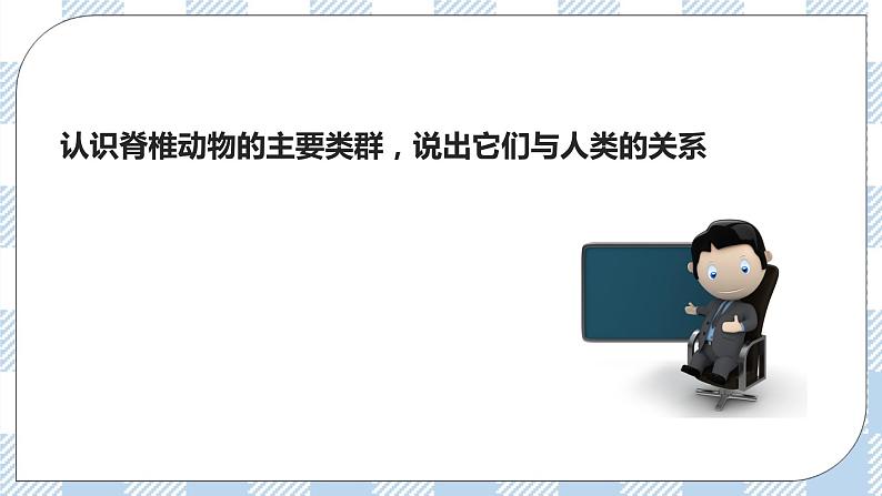 7.22.4动物的主要类群——脊椎动物 课件第2页