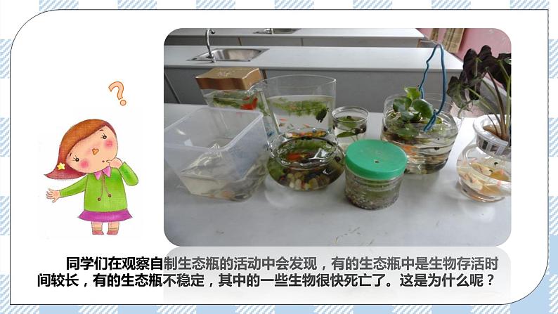 8.23.4生态系统的稳定性 精美课件+同步练习+视频素材03