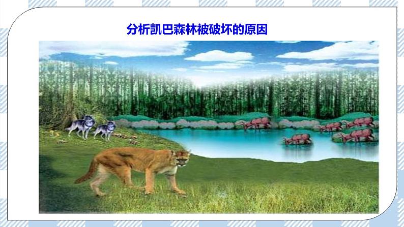 8.23.4生态系统的稳定性 精美课件+同步练习+视频素材04