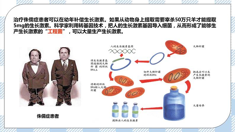 9.25.2现代生物技术 精美课件+同步练习+视频素材07