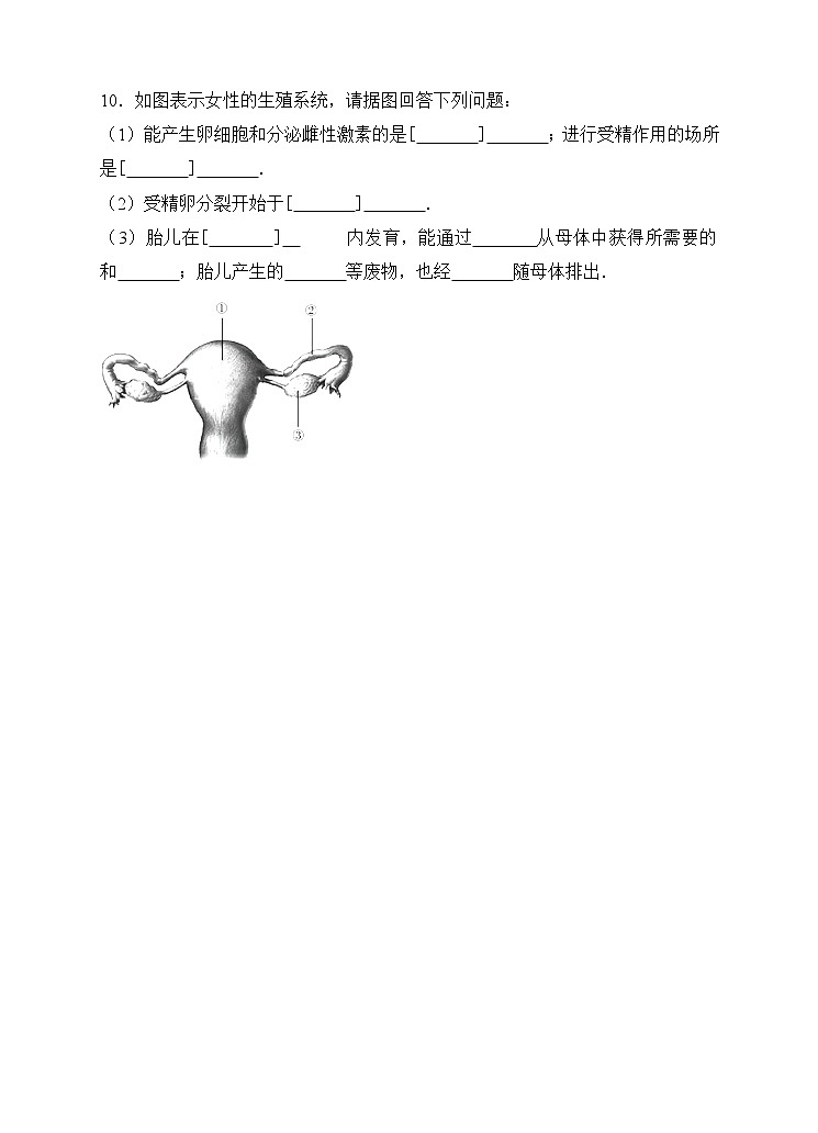 4.8.1精卵结合孕育新的生命 课件+视频+练习02