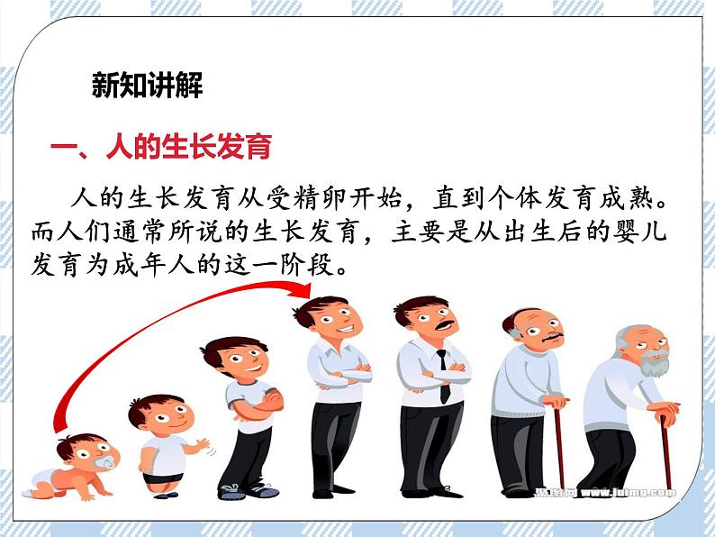 4.8.人的生长发育和青春期 课件第4页