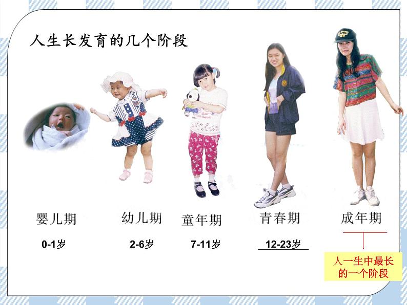 4.8.人的生长发育和青春期 课件第5页