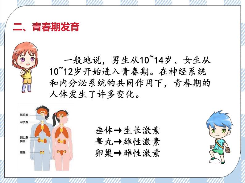 4.8.人的生长发育和青春期 课件第7页