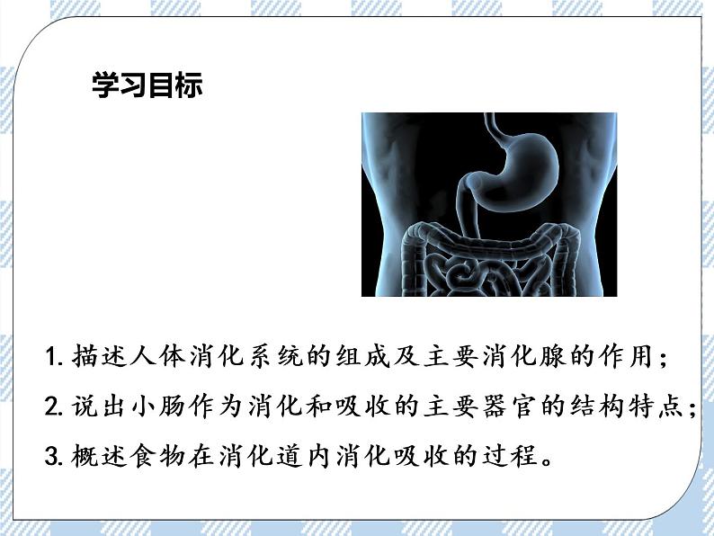 4.9.2人体的消化与吸收 课件+视频+练习03