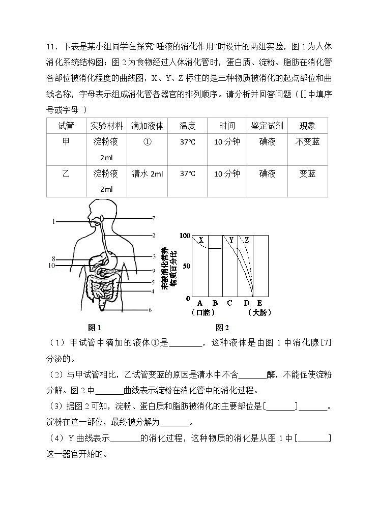 4.9.2人体的消化与吸收 课件+视频+练习02