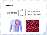 4.10.1血液和血型第1课时 课件+视频+练习