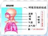 4.10.3人体和外界环境的气体交换 课件+练习+视频