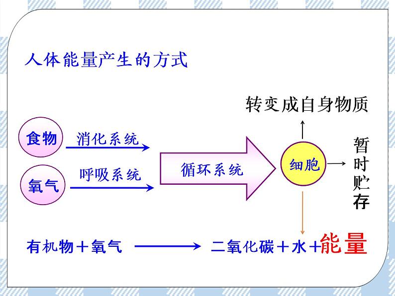 4.10.5人体能量的供给 课件+视频+练习05