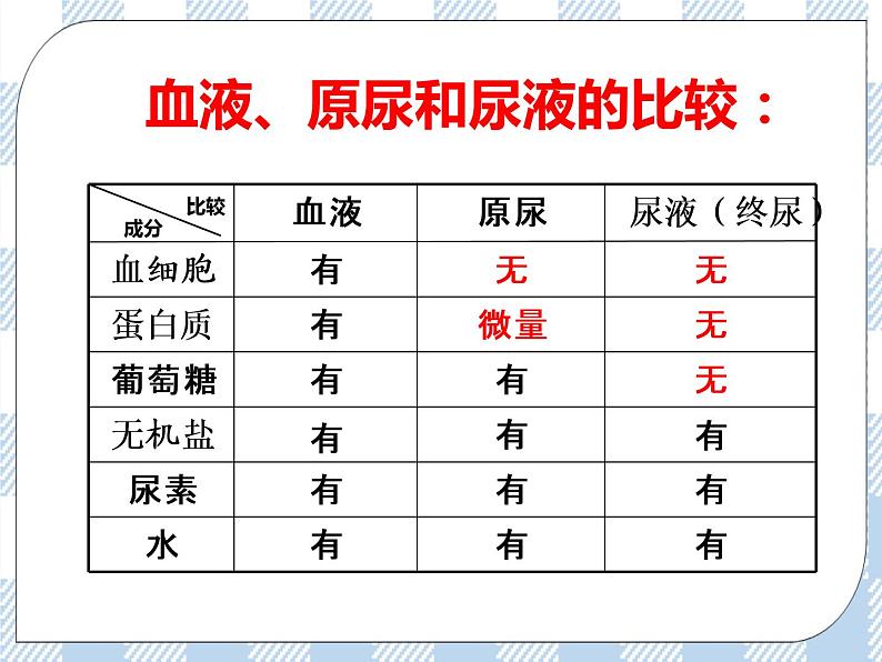 4.11.2人体废物的排出 课件+视频+练习06