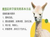 第一节 生物的特征 课件