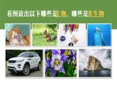 第一节 生物的特征 课件