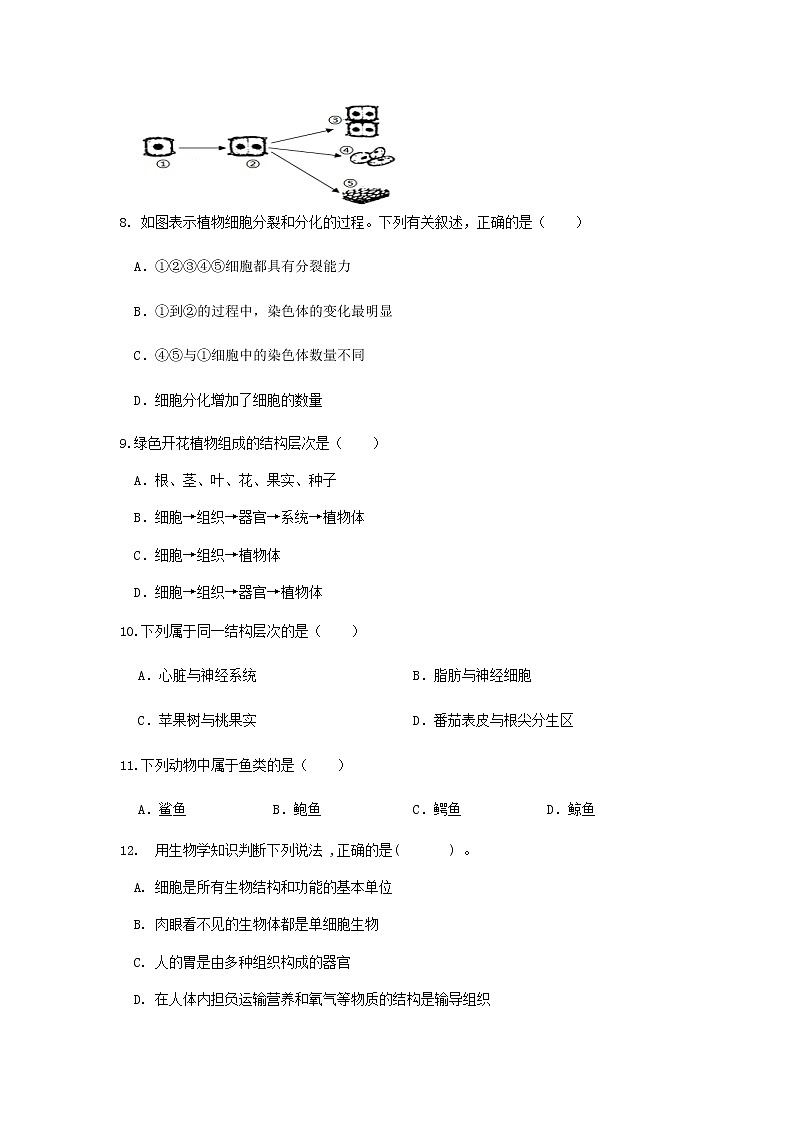 江苏省七年级生物阶段性检测第2页