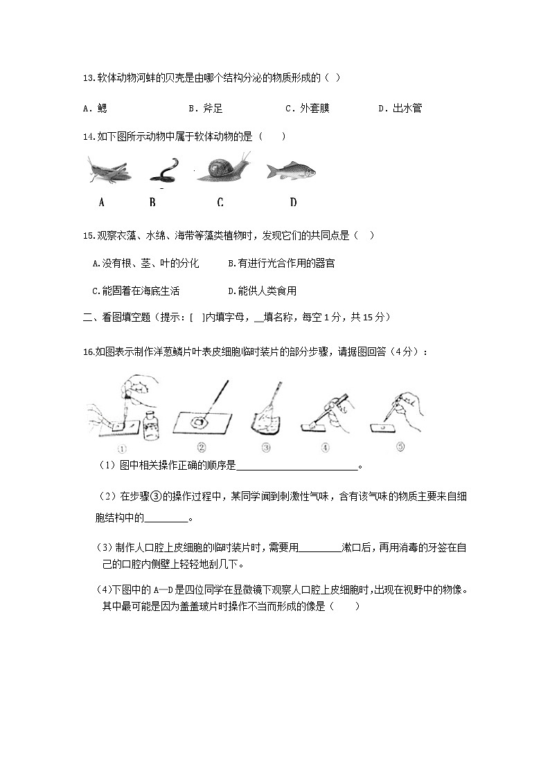 江苏省七年级生物阶段性检测第3页