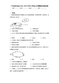 广东省中山市2022-2023学年七年级上学期期末生物试题(含答案)