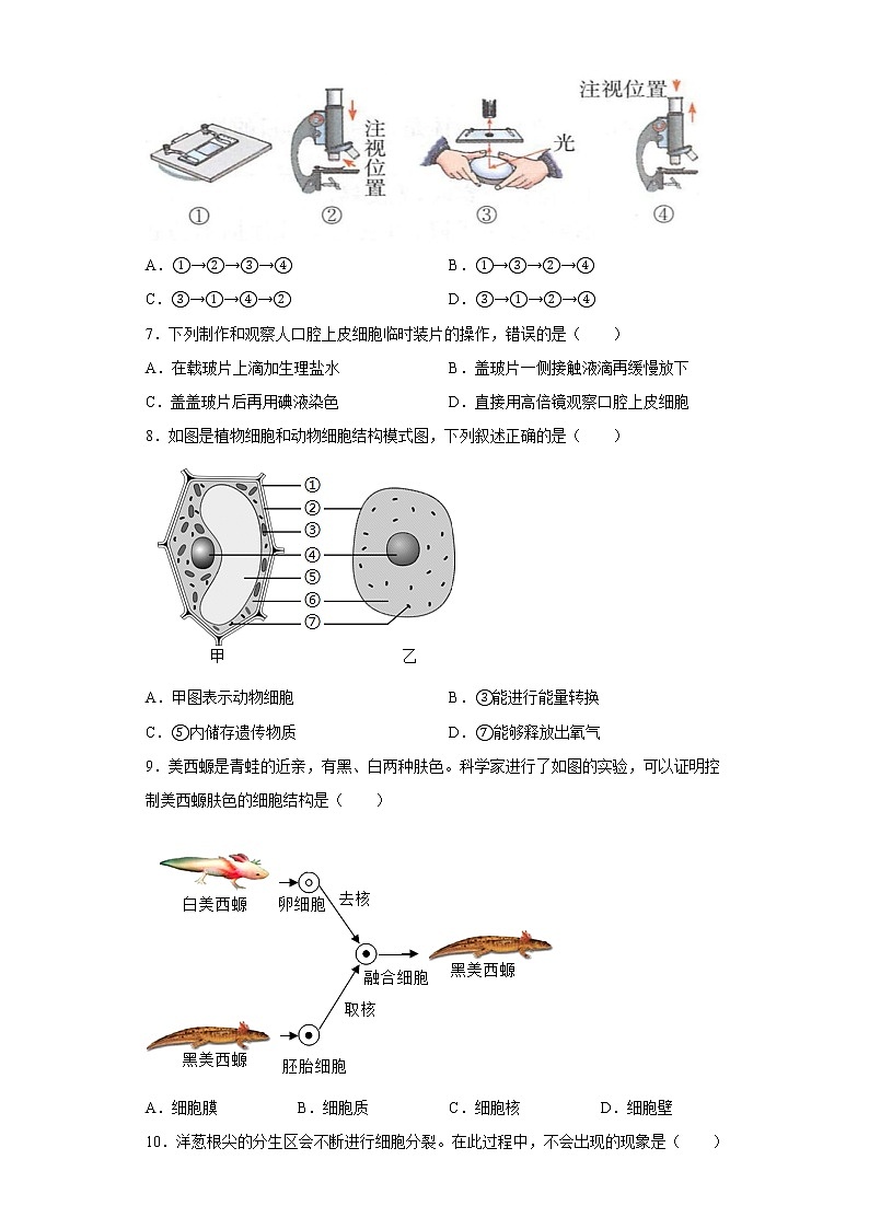 广东省中山市2022-2023学年七年级上学期期末生物试题(含答案)第2页