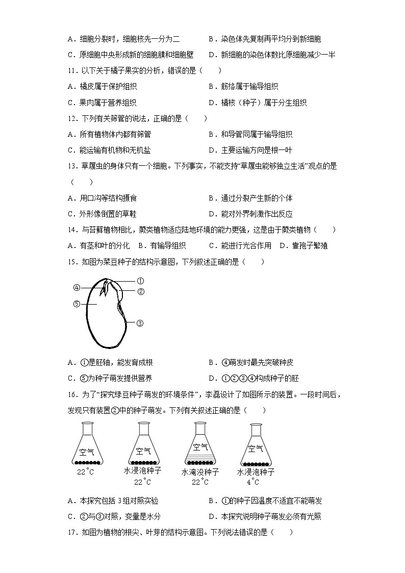 广东省中山市2022-2023学年七年级上学期期末生物试题(含答案)第3页