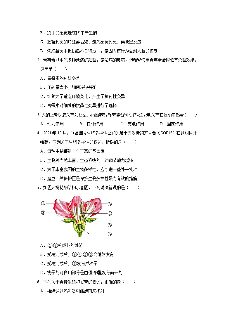 2022年甘肃省陇南市成县陕西师范大学成州中学中考生物冲刺试卷(含答案)03