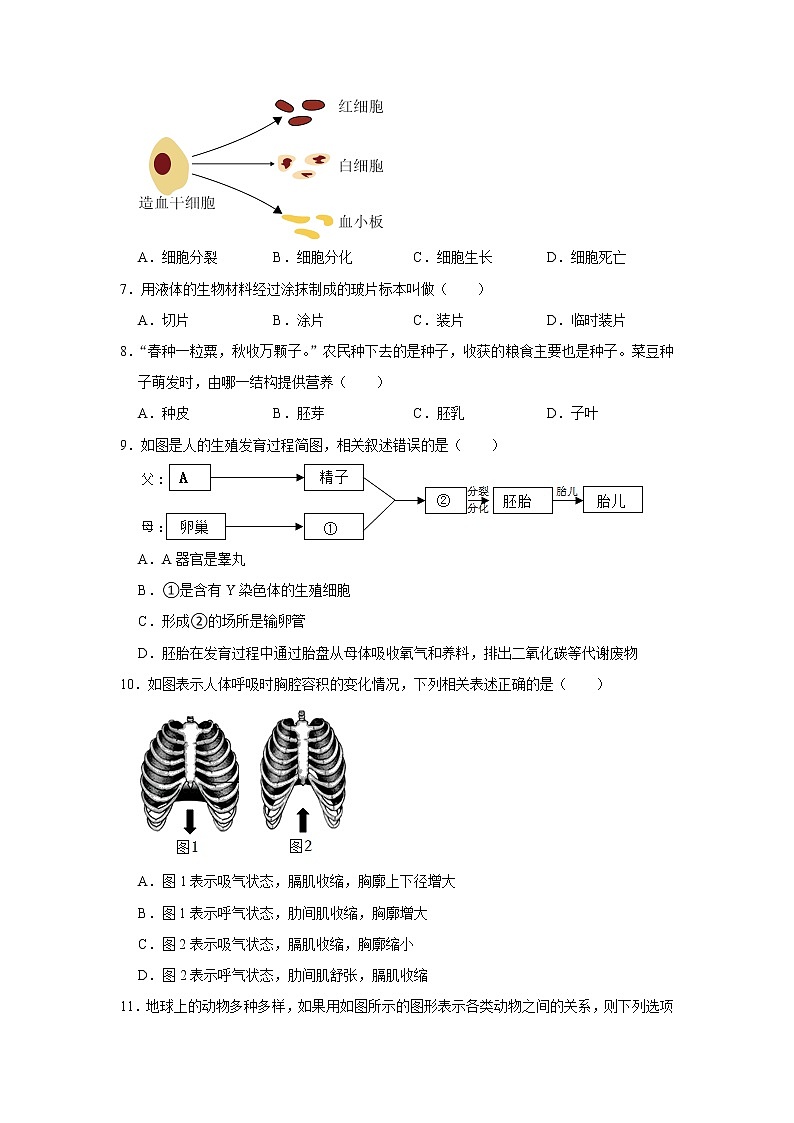 2022年甘肃省陇南市康县阳坝中学中考生物模拟试卷(含答案)02