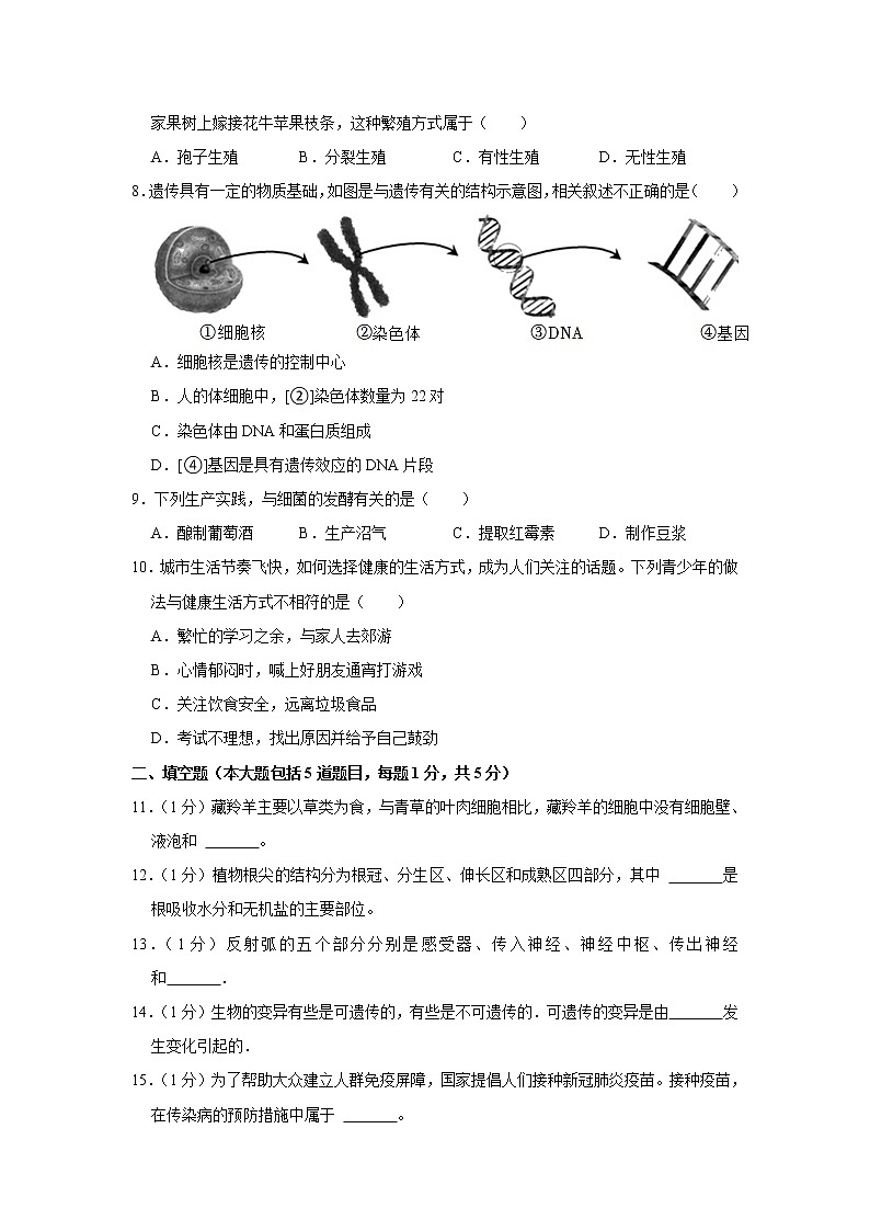 2022年甘肃省天水市张家川县中考生物模拟试卷(含答案)第2页