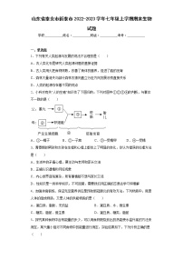 山东省泰安市新泰市2022-2023学年七年级上学期期末生物试题(含答案)