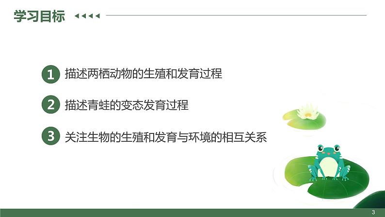第三节  两栖动物的生殖和发育课件PPT03
