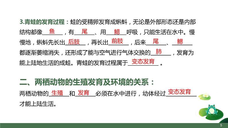 第三节  两栖动物的生殖和发育课件PPT05