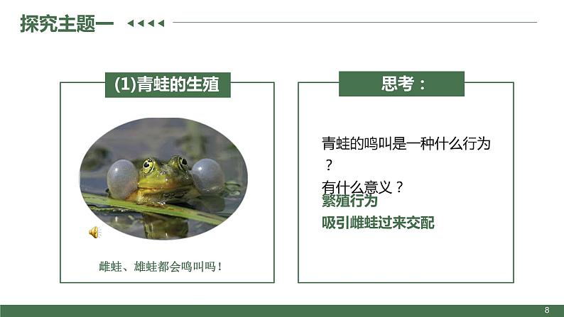 第三节  两栖动物的生殖和发育课件PPT08