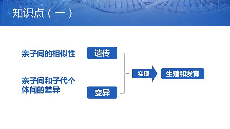 第一节 基因控制生物的性状课件PPT第2页