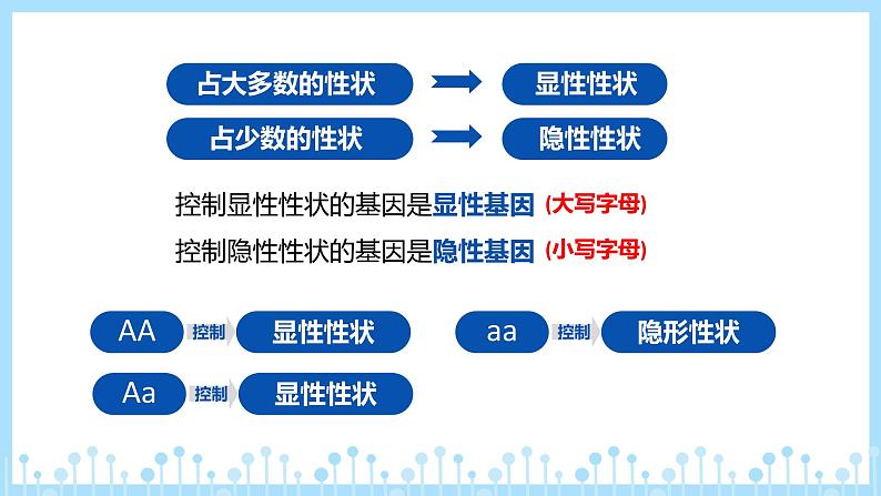 第三节 基因的显性和隐性课件PPT第5页