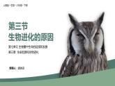 第三节 生物进化的原因课件PPT