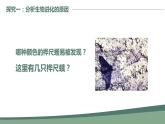 第三节 生物进化的原因课件PPT