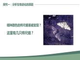 第三节 生物进化的原因课件PPT