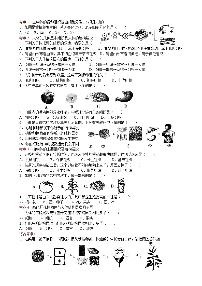 2022届初中生物中考一轮复习考点测试题3：细胞构成生物体(www.xue-ba.org学霸网)第1页