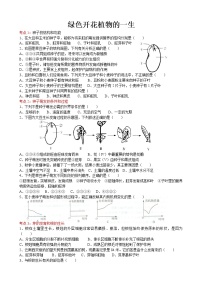 2022届初中生物中考一轮复习考点测试题5绿色开花植物的一生